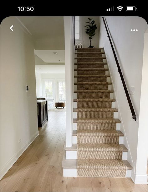 Stair Runner New Build, Stair Runner Wooden Stairs, Jute Stair Runner Staircases, Rattan Stair Runner, Installing Carpet Runner On Stairs, Stair Runner On Light Wood, Wooden Staircase Runner, Hardwood Stairs With Carpet Runner, Stair Runner Narrow Stairs