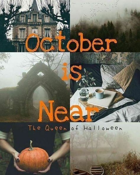 October Eve, Quotes Illustration, October Country, Halloween Queen, October Halloween, Halloween Quotes, Theme Halloween, Pinterest Blog, Fall Favorites