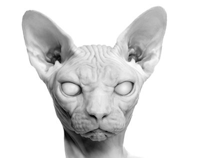 Sphynx Cat Side View, Lion Illustration, Sphinx Cat, Hairless Cat, Cat Character, Sphynx Cat, Sphynx, Personal Project, Animal Tattoos