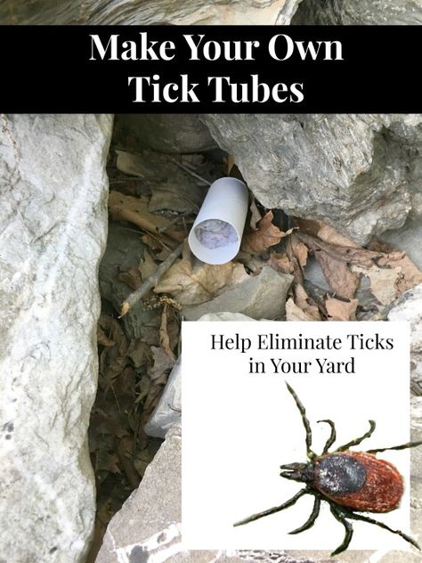 Tick Repellent For Yard, Natural Tick Repellent For Yard, Tick Control For Yard, Homemade Tick Repellent People, Tick Prevention For Dogs, Tick Spray For Yard, Home Remedy For Ticks On Dogs, Tick Tubes, Essential Oils For Ticks