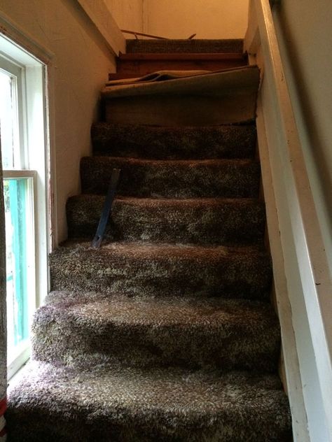 The stairs to master bedroom needed a major new look! [media_id:3297460] Very old stinky shag carpet led to the master bedroom and bathroom.  It was finally tim… Dark Staircase Ideas Brighten, Dark Ceiling Light Walls, Dark Stairway, Paint Hardwood Floors, Stenciled Stairs, Dark Staircase, Diy Furniture Wood, Painting Stairs, Stairwell Wall