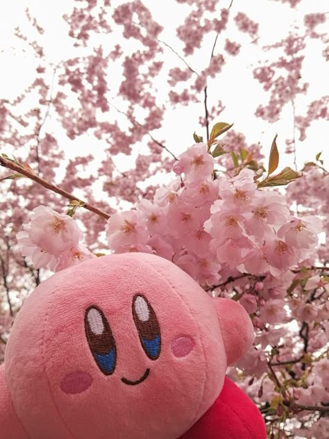 Pink Kirby Wallpaper, Cute Kirby Pfp, Kirby Aesthetic, Kirby Pics, Kirby Wallpaper, Kirby Plush, Kirby Nintendo, My Land, Pfp Profile