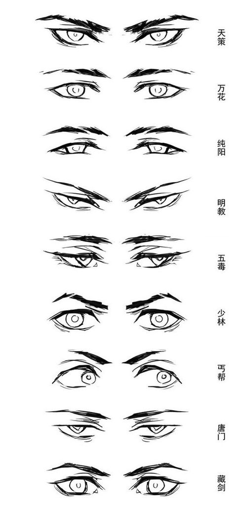 Character Anatomy | Eyes Mata Manga, Regard Animal, Eye Anatomy, 얼굴 드로잉, Eye Drawing Tutorials, Drawing Tutorial Face, Drawing Eyes, Eye Sketch, Desen Anime