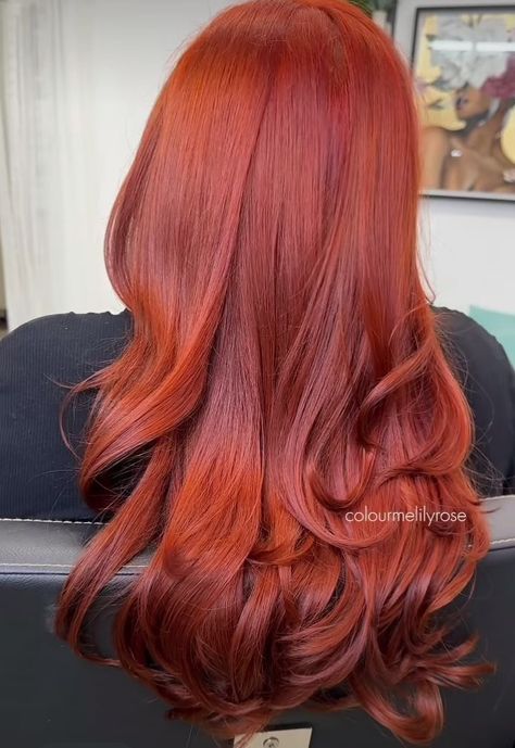 Red Hair Inspo, Ginger Hair Color, Copper Hair Color, Auburn Hair, Copper Hair, Hair Inspiration Color, Good Hair Day, Hair Inspo Color, Ginger Hair