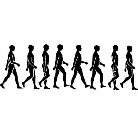 Outline Of A Person, Walk Cycle Reference, A Person Walking, Walking Animation, Person Walking, Cd Cover Art, Cartoon Body, 달력 디자인, Frame By Frame Animation