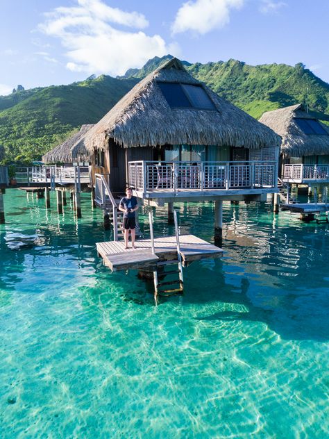 Our Honeymoon Part 1: Guide to Moorea French Polynesia by top Houston lifestyle blogger, Ashley Rose of Sugar and Cloth French Honeymoon, Aloita Resort, Moorea French Polynesia, Beach Honeymoon Destinations, 일본 패션, Overwater Bungalows, Dream Vacations Destinations, Holiday Places, Destination Voyage