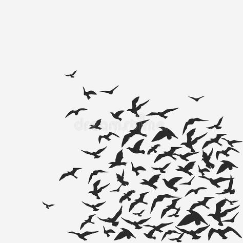 Birds Background, White Crow, Dark Art Tattoo, Spray Paint Art, Flock Of Birds, Stock Photography Free, Design Minimal, Birds Flying, Modern Graphic Design