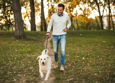 Being a responsible pet owner means making sure that your pet is happy and healthy. Find out what taking care of a pet really entails. Scary Dogs, Sleep Early, Healthy Pets, Dogs Pooping, Dog Images, Animal Companions, Senior Dog, Dog Park, Pet Parent