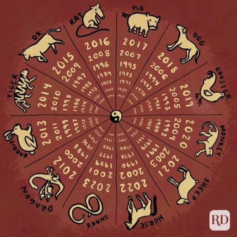 Figure out what animal represents your birth year and see what the new year has in store for you. The post What Is My Chinese Zodiac Sign? appeared first on Reader's Digest. Birth Year And Zodiac Sign Tattoo, Chinese Zodiac Years, Chinese Year Animals, Chinese Birth Chart, Chinese Zodiac Compatibility, Pig Chinese Zodiac, What Colors Represent, Birth Animal, 12 Chinese Zodiac Signs