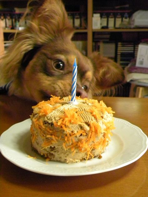 Carrot and Apple Doggie Cake with Frosting Cream Cheese And Peanut Butter, Apple Cake With Cream Cheese, Doggie Cake, Cake With Frosting, Carrot Dogs, Dog Cupcakes, Puppy Cake, Dog Birthday Cake, Peanut Butter Frosting