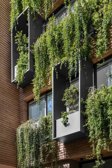 Gallery of The Memory of Garden Residential Building / Ashari Architects - 10 Green Balcony, Shiraz Iran, Facade Panel, Building Entrance, Green Architecture, Old Trees, House Wall, Shiraz, May Flowers