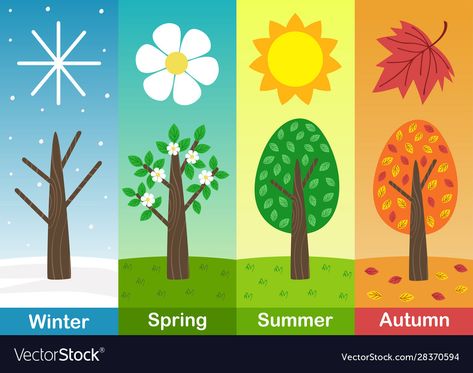 Four Seasons Art, Trees Vector, Season Aesthetic, Whats In Season, Seasons Art, Nba Season, Different Seasons, Four Season, Seasons Of The Year