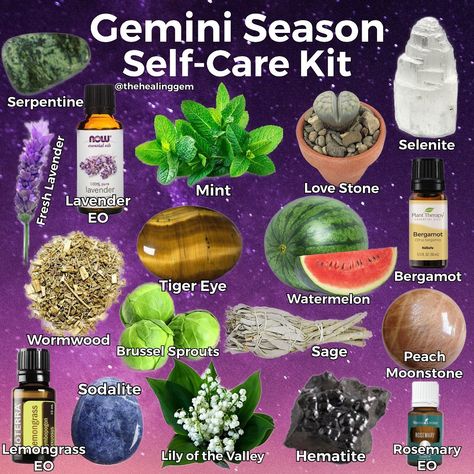 Herbs For Gemini, Herbs Of Gemini, Gemini Herbs, Gemini Witch, Gemini Crystals, Energy Stones Crystal Healing, Gemini Stuff, Sacred Herbs, Witch Life