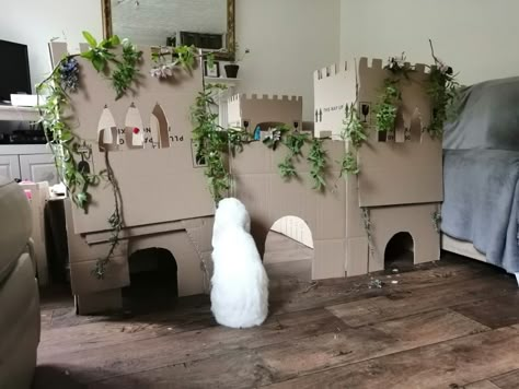 Diy Cardboard Bunny Castle, Diy Rabbit House Cardboard, Diy Rabbit Castle, Cardboard Rabbit House, Cardboard Bunny House, Bunny Castle Diy, Cardboard Box Houses Diy, Bunny Cardboard, Bunny Habitat