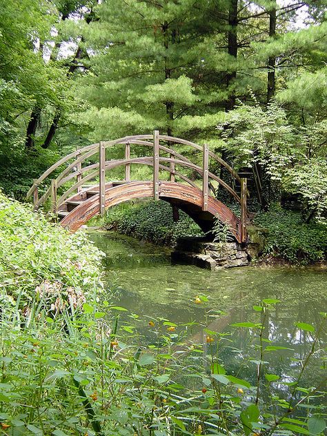 Wooden bridge in Japanese Garden, Stan Hywet Hall and Gardens, Akron, Ohio Impressionist Wedding, American Castles, Garden Estate, Duck Pond, Wooden Bridge, Akron Ohio, Garden Photography, Public Garden, Garden Pool