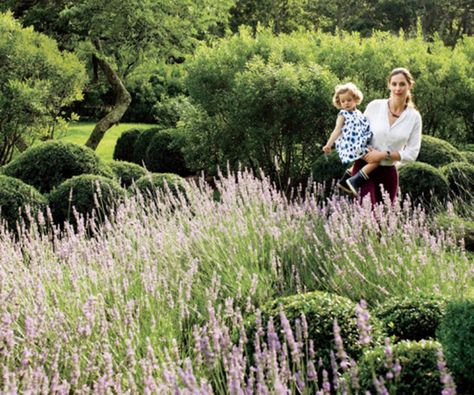 Discover the wild style of landscape designer Miranda Brooks Miranda Brooks, Deciduous Trees, Garden Structures, Landscape Artist, English Countryside, Country Gardening, Romantic Style, Landscape Photos, Green Thumb