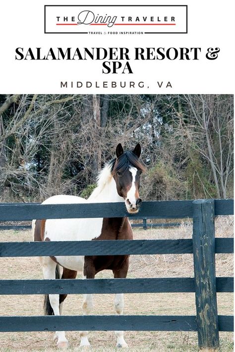 Salamander Resort And Spa, Middleburg Virginia, Horse Country, Eco Lodge, Resort And Spa, North America Travel, Luxury Property, Usa Travel, Travel Inspo