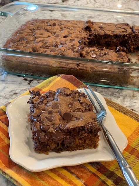 Chocolate Chip Zucchini Cake, Chocolate Oatmeal Cake, Apple Pie Recipe Easy, Dessert From Scratch, Oatmeal Cake, Easy Oatmeal, Raspberry Recipes, Zucchini Cake, Chocolate Oatmeal