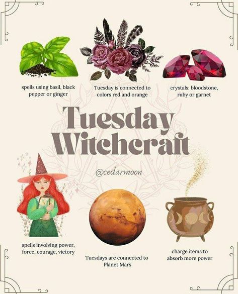 Be Delusional, Element Of Fire, Teen Witch, W.i.t.c.h Aesthetic, Wiccan Magic, Planet Mars, Witch Spirituality, Magic Day, Wiccan Spell Book