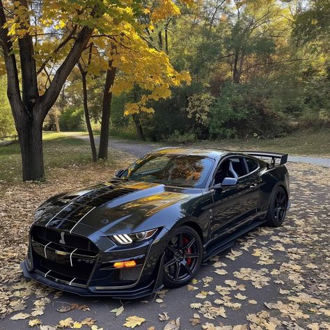 2020 Shelby Gt500, Gt350 Shelby, Shelby Cobra Gt500, Mustang Shelby Gt 500, Mustang Shelby Cobra, Black Mustang, Ford Mustang Cobra, Mustang Gt500, Ford Mustang Car