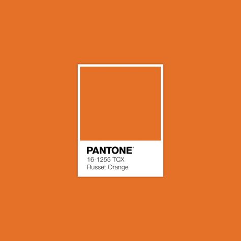 Discover Inspirational Pantone Color Palette · Lab 61,65 44,68 60,20 · sRGB 228 113 39 · HEX E47127 · Pantone · FHI Cotton TCX · PANTONE 16-1255 TCX Russet Orange Pantone Color Palette, Pantone Orange, Color Library, Color Pantone, Pantone Colour Palettes, Weathered Teak, Apricot Color, Orange Color Palettes, Poppy Color