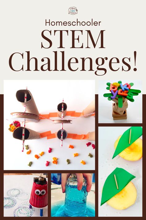 Stem Activities For Kindergarten, Fall Stem Challenges, Kindergarten At Home, Forces And Motion, Steam Challenges, Steam Ideas, I Love Science, Stem Lab, Apple Stem