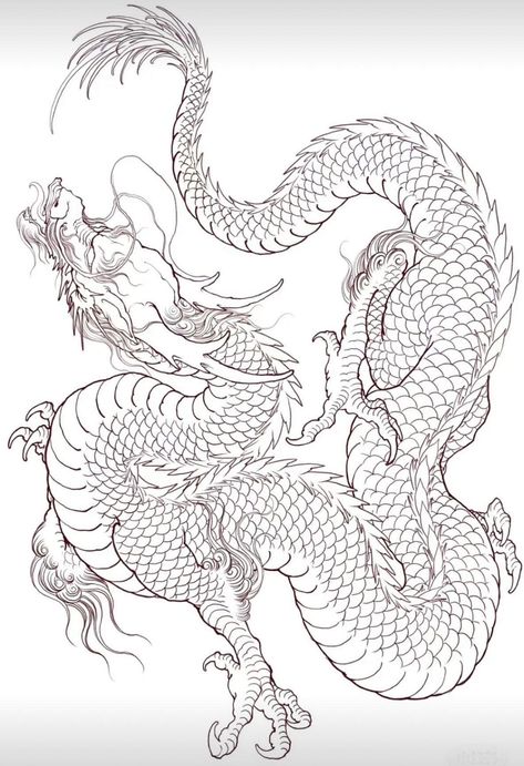 Dragon Tattoo Outline, Traditional Japanese Dragon, Arte Hippy, Dragon Tattoo Drawing, Japanese Dragon Drawing, Minimal Tattoo Designs, Minimal Tattoo Ideas, Asian Dragon Tattoo, Dragon Tattoo Sketch