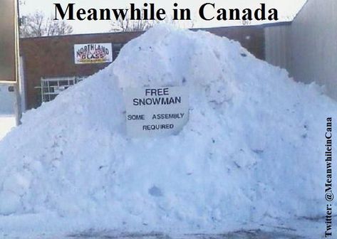 “Love this! #MeanwhileinCanada” Canada Jokes, Canadian Memes, Canada Memes, Canadian Humor, Winter Humor, Snow Humor, Meanwhile In Canada, Canadian Things, Funny Signs