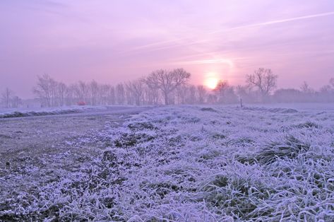 Free Images : nature, snow, cold, cloud, sun, sunset, road, mist, white, field, meadow, prairie, sunlight, morning, flower, frost, dawn, weather, plain, winter landscape, plateau, habitat, frosty, tundra, sunrise landscape, winter trees, winter scene, natural environment, atmospheric phenomenon, grass family 2910x1933 - - 861052 - Free stock photos - PxHere Start Of Winter, Winter Sunrise, Winter Road, Sunrise Landscape, Big Chill, Winter Images, Atmospheric Phenomenon, Winter Wonder, Winter Trees