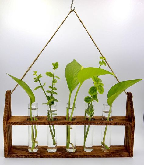 Propagation Tubes, Plant Propagation Station, Mason Jar Accessories, Test Tube Rack, Side Hussle, Rustic Plant Stand, Propagate Plants, Modern Flower Vase, Office Table Decor