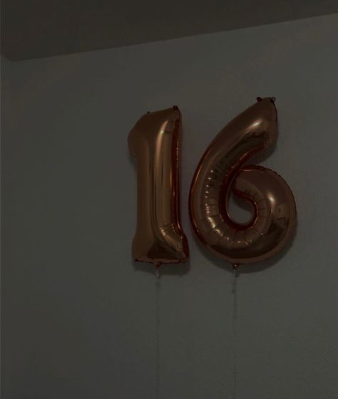 16th birthday Dark Birthday Photoshoot Ideas, Its My Birthday Instagram Story Ideas 16, Happy Birthday Fake Story, Balons Birthday, 16 Birthday Captions, Birthday Fake Story Instagram, Hello 16 Birthday, Happy 16th Birthday Girl, Aesthetic 16th Birthday