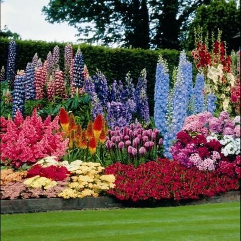 Spring Garden spring outdoors flowers garden flowerbed bulbs seasons spring garden Perennial Garden Design, Garden Flowers Perennials, Landscape Designs, Have Inspiration, The Secret Garden, Perennial Garden, Gorgeous Gardens, Flowers Perennials, Garden Cottage