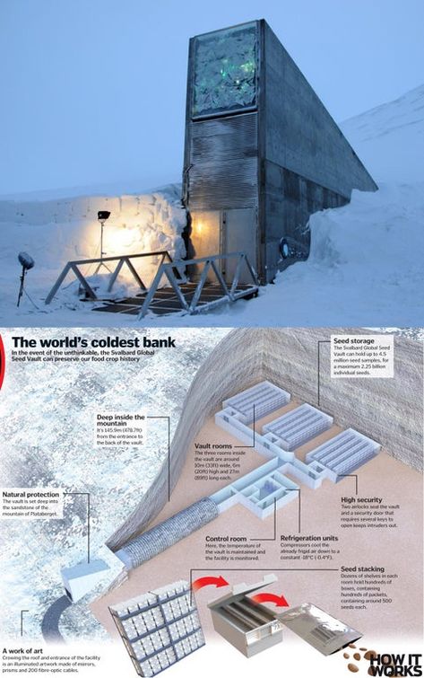 Doomsday Vault, Norway - It’s an attempt to keep the World wide plant seeds secure in the event of a worldwide disaster. : ThatsInsane Seed Vault, Seed Storage, Plant Seeds, Science Art, Vaulting, Planting Seeds, Natural Disasters, Best Funny Pictures, Art And Architecture