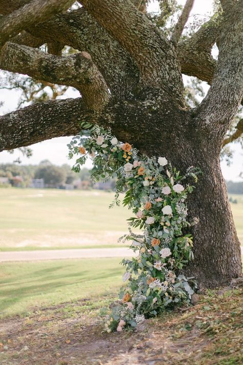 Wedding Under Trees, Oak Tree Wedding Ceremony, Tree Wedding Ceremony, Oak Tree Wedding, Small Weddings Ceremony, Wedding Arbor, Costa Rica Wedding, Flower Decorations Diy, Wedding Arbour