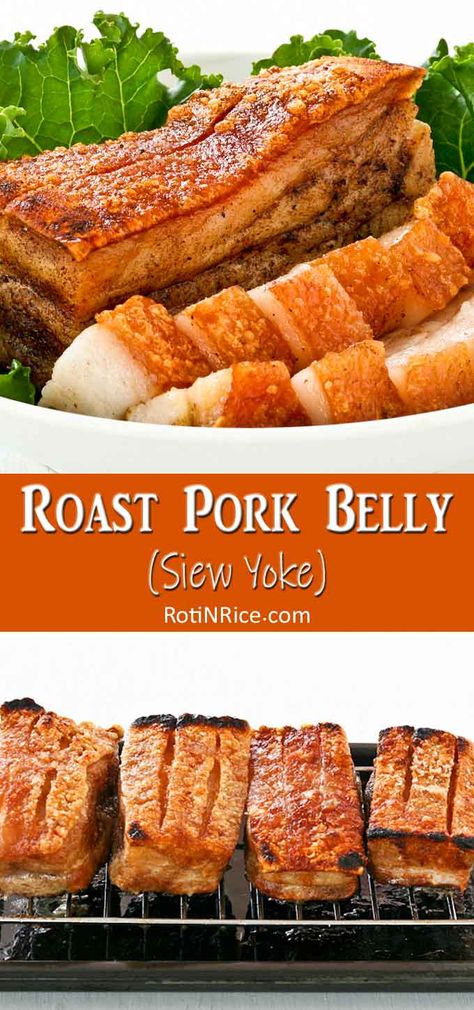 Chicken Recipes Roasted, Pork Belly Roast, Roast Pork Belly, Pork Belly Recipes, Crispy Pork Belly, Roast Pork, Steamed Rice, Chinese Cooking, Pork Dishes