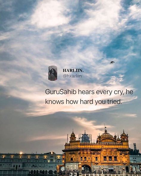 Lion King Quotes, Guru Nanak Photo, Serenity Quotes, Guru Granth Sahib Quotes, Tears Quotes, Spiritual Inspiration Quotes, Fashion Quotes Inspirational, Sikh Quotes, Guru Quotes