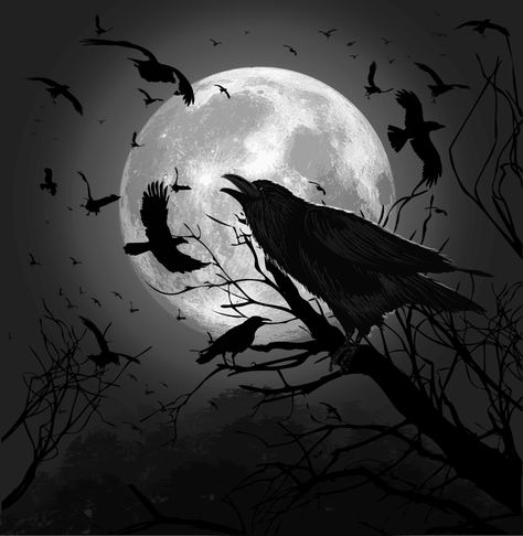 Free download The Raven Mocker [2629x2698] for your Desktop, Mobile & Tablet | Explore 48+ The Raven Wallpaper | Raven Wallpaper Bird, Ravens HD Wallpaper, Baltimore Ravens Desktop Wallpaper Raven Mocker, Crow Pictures, Afrique Art, Raven Tattoo, Raven Art, Crows Ravens, Misty Forest, Beautiful Dark Art, Home Pictures