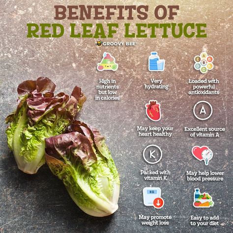 Lettuce Benefits, Red Leaf Lettuce, Leaf Lettuce, Vitamin K, Heart Healthy, Lettuce, Health Food, Health Wellness, Health And Wellness