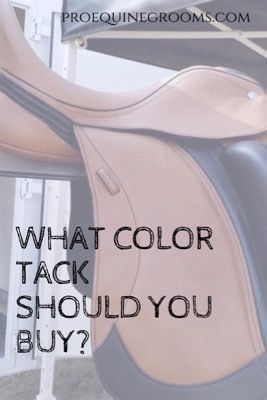 How to pick the best color for your horse's tack! https://www.proequinegrooms.com/tips/saddles-and-bridles/how-to-pick-the-best-color-for-your-horse-s-tack/ Black Horse Color Tack, Best Tack Colors For Black Horses, Viking Horse Tack, Grey Horse Tack Colors, Sorrel Horse Tack Colors, Bay Horse Tack Colors, Horse Tack Diy, Buckskin Horse, Riding Tips