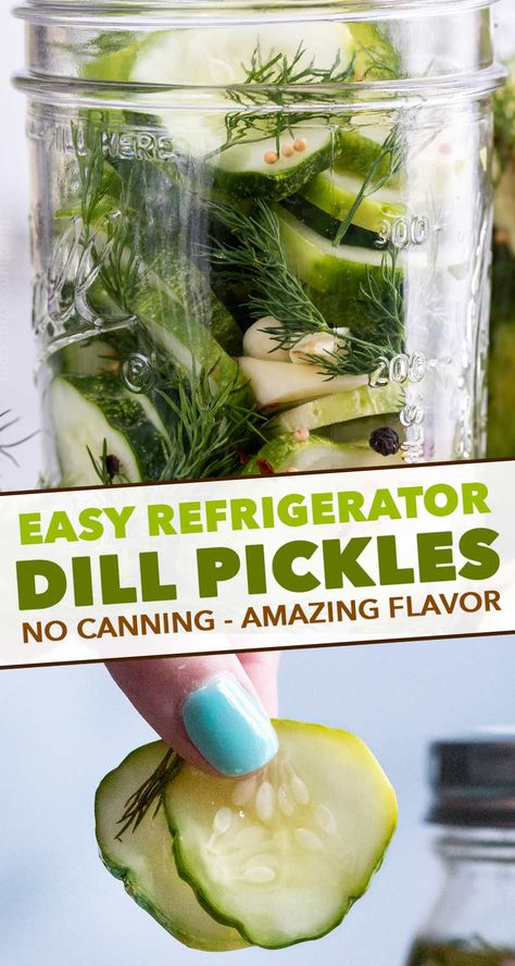 Homemade refrigerator pickles require zero canning expertise or equipment! Crisp, zesty, and packed with a punch of amazing flavor - you have to try them! #pickles #dill #refrigerator #homemade #dillpickles #cucumber #summer #condiment Homemade Refrigerator Pickles, Refrigerator Dill Pickles, Cheesecake Strawberries, Quick Pickle Recipe, Refrigerator Pickles Dill, Refrigerator Pickle Recipes, Homemade Pickles Dill, Dill Pickle Recipe, Pickled Cucumbers