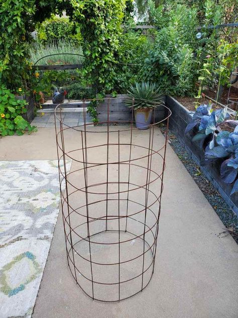 Diy Tomato Cage, Tomato Planting, Easy Garden Ideas Landscaping, Tomato Support, Tomato Trellis, Growing Tomatoes In Containers, Tomato Seedlings, Garden Hacks, Tomato Cages