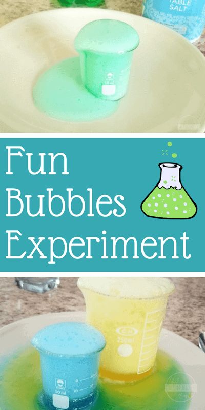 Experiment For Preschool, 5th Grade Homeschool, Steam Night, Homeschool Summer, Chemistry Experiments For Kids, Bear Scouts, Pre-k Science, Bubble Activities, Activities Elementary