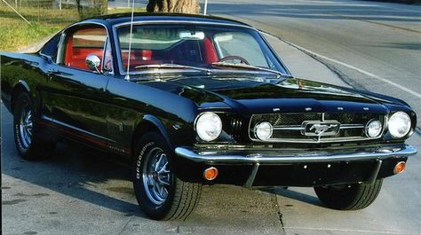 1965 Mustang Fastback 1966 Mustang Gt, Want A Boyfriend, Ford Mustang 1965, Black Mustang, 65 Mustang, Vintage Mustang, 1965 Ford Mustang, R34 Gtr, 1965 Mustang