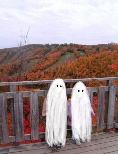 Stranger In The Alps Aesthetic, The Alps Aesthetic, Phoebe Bridgers Ghost, Halloween Shuffle, Alps Aesthetic, Stranger In The Alps, Phoebe Bridgers, The Alps, Cute Pictures