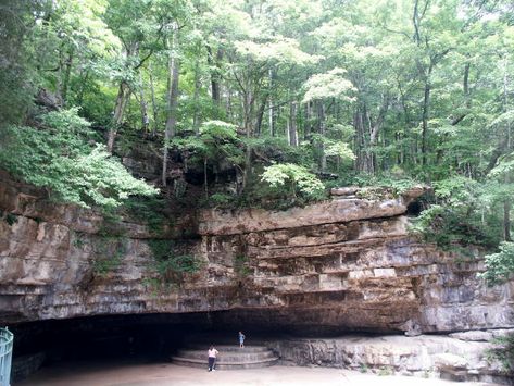 Hendersonville Tennessee, Tennessee State Parks, Cave Entrance, Eastern Woodlands, Tennessee Travel, Cave Tours, Tennessee Vacation, Tennessee State, Weekend Hiking