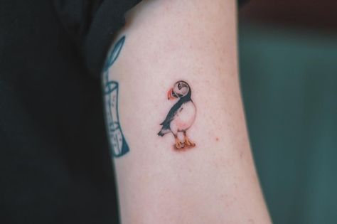 보노 on Instagram: “. Puffin . Thank you emily & liam . You guys made my day👍 . #melbourne #melbournetattoo #tattoo #smalltattoo #puffintattoo finelinetattoo…” Small Puffin Tattoo, Puffin Bird Tattoo, Puffin Tattoo Simple, Puffin Tattoo, Icelandic Tattoo, Puffin Illustration, Pigeon Tattoo, Robin Tattoo, Patch Sleeve