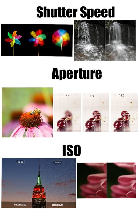 Here are some examples of contrasting shutter speed, aperture, and ISO. Low Shutter Speed Photography Ideas, High Aperture Photography, Photo Project Ideas, Shutter Priority Photography, Aperture Photography Ideas, Photography Styles Types Of, High Shutter Speed Photography, Shutter Speed Photography Ideas, Low Contrast Photography