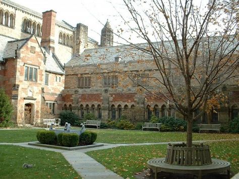 Nave and Selin Courtyard | Yale University Library Yale Library, Library Courtyard, Frat Parties, Cool Color Palette, University Library, Dream College, Yale University, American Living, College Kids