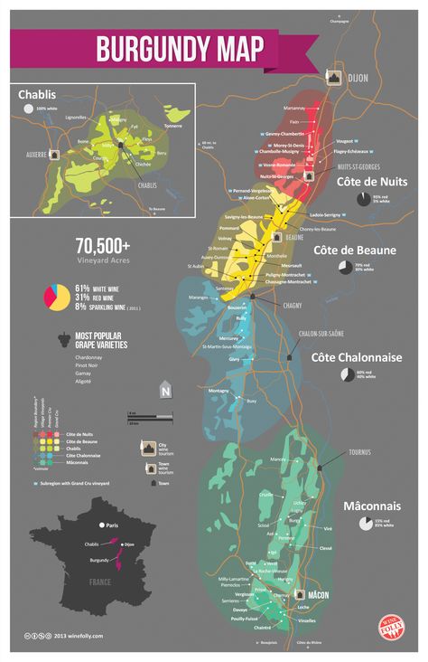 Looking for a clear and concise explanation of Burgundy Basics?  Wine Folly has put together a simple and attractive presentation in text, maps and charts that pretty much says it all. Burgundy Wine Map, Wine Region Map, Wine Folly, Wine Map, Wine Knowledge, Wine Education, Wine Guide, French Wine, Vitis Vinifera