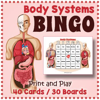 Your students will love playing this informative game of Human Body Systems BINGO. It makes a great introduction to the subject and a welcome fun break in the classroom. Included are 40 vocabulary calling cards and 30 unique bingo game boards.Each card features a short description of the system or... Medical Games Ideas, Biology Activities High School, Anatomy Activities, Health Science Classroom, Matching Card Game, Human Respiratory System, Human Body Projects, Human Body Activities, Human Body Unit